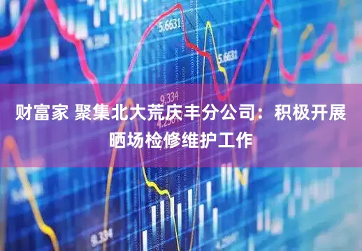 财富家 聚集北大荒庆丰分公司：积极开展晒场检修维护工作