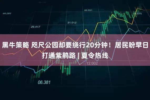 黑牛策略 咫尺公园却要绕行20分钟！居民盼早日打通紫鹃路 | 夏令热线